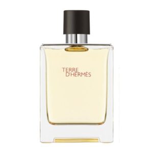 Hermès Terre D Hermès Eau de Toilette